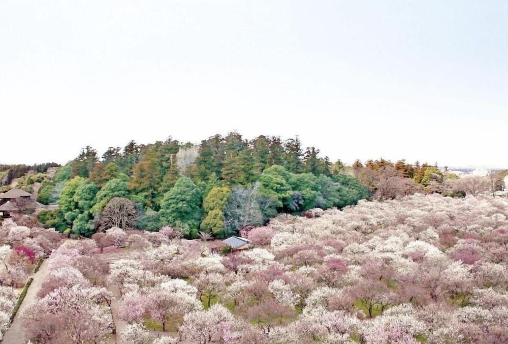 Mito Keisei Hotel Bagian luar foto