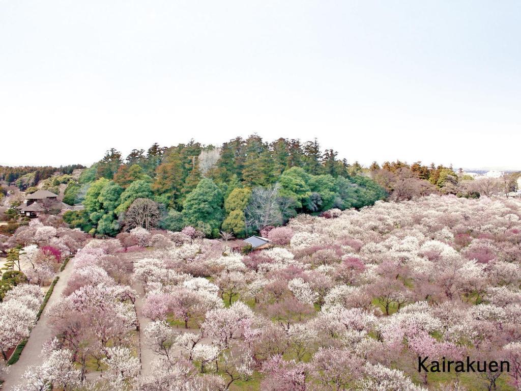 Mito Keisei Hotel Bagian luar foto